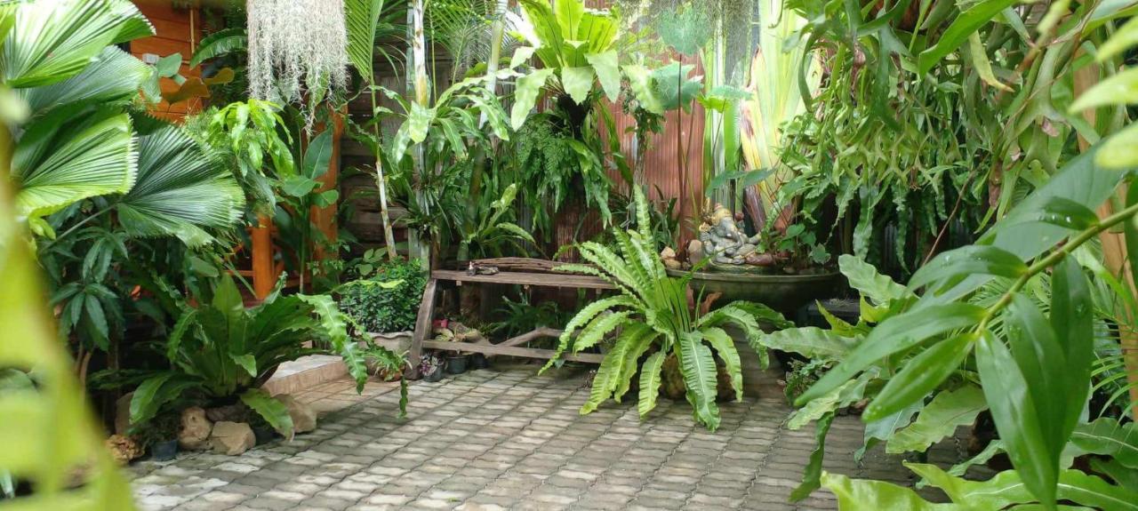 Ouychai Resort Home Stay Chiang Mai Ngoại thất bức ảnh