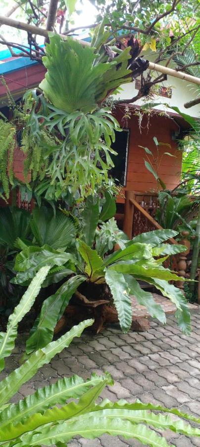 Ouychai Resort Home Stay Chiang Mai Ngoại thất bức ảnh