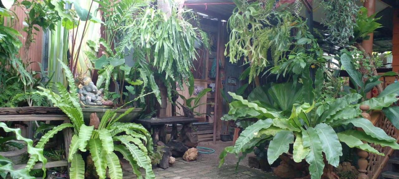 Ouychai Resort Home Stay Chiang Mai Ngoại thất bức ảnh